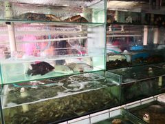 水产区-海香园饭店