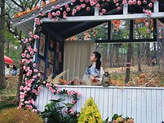 -沂蒙山旅游区云蒙景区(蒙山国家森林公园)