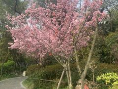-成都川菜博物馆