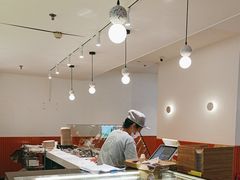 -油梨树 AVOCADO TREE(亮马桥店)