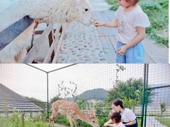 -宁波九龙湖开元度假村