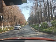 -湘湖大院(越王路店)