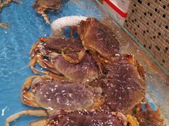 -双井轩(双井店)