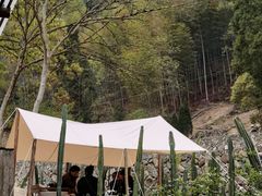 -MOJ coffee(瓯海泽雅水碓坑店)