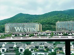 -舟山朱家尖绿城威斯汀度假酒店