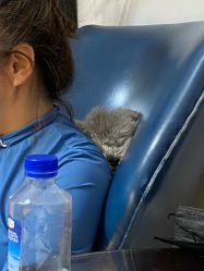 -一个差评成就的纹眉店