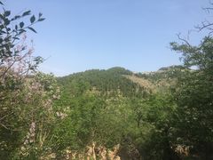 -井塘古村
