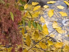 -白鹭湾湿地公园