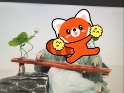 -大连棒棒糖儿童摄影(熊洞街店)