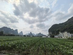 -明仕田园