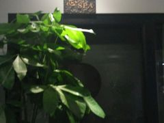 -东方菩提养生SPA馆(武昌总店)