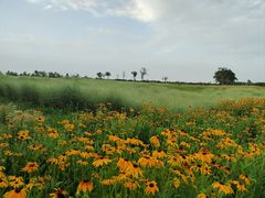 -汉长安城未央宫国家考古遗址公园
