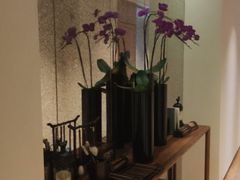 -五号茶居·新派粤菜·岭南五号酒店(沿江中路店)
