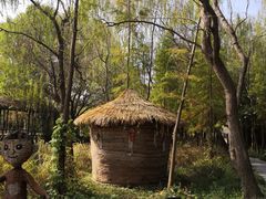 -溱湖国家湿地公园