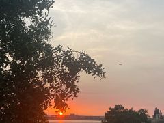 -宝安西湾红树林湿地公园