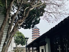 -苏州丝绸博物馆