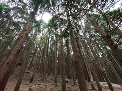 -石牛酒家(庐山风景名胜区店)