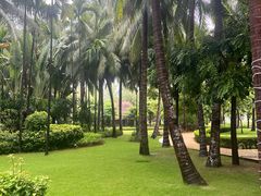 -三亚湾海居铂尔曼度假酒店