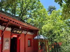 -少华山国家森林公园