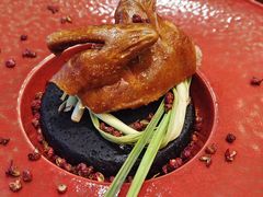-南堂馆·新川菜(天府三街店)