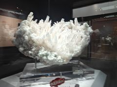 -湖南省地质博物馆