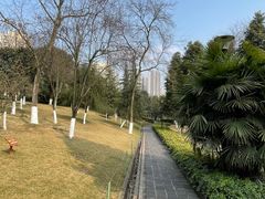 -龙头寺公园