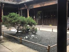 -朵云书院·广富林店