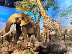 -陕西自然博物馆