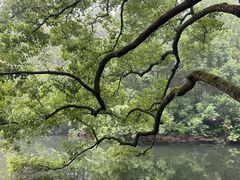 -浙江西子宾馆·瑶园咖啡厅