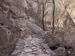 -大岭沟猕猴桃谷风景区