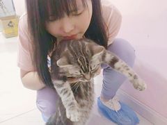 -三花喵·撸猫购宠·宠物生活馆(虹桥南丰城店)