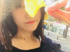 -三里屯东五街银杏大道