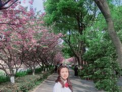-圩墩遗址公园