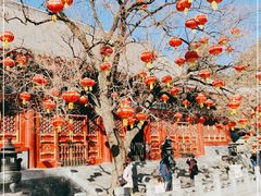 -香山公园