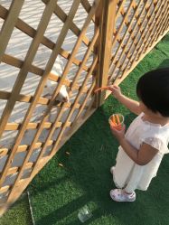 -萌宠亲子动物乐园(槐房万达店)