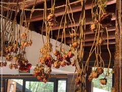 -蓝壁虎咖啡酒馆