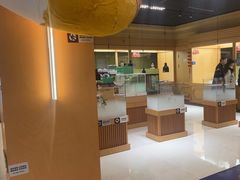 -帕帕拉兹宠物(亚洲旗舰店)