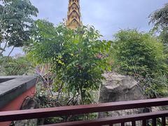 -西双版纳洲际度假酒店-海鲜傣味烧烤·侬香全日制餐厅