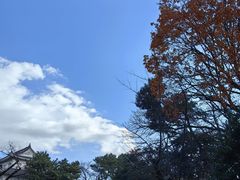-名古屋城