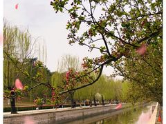 -元大都城垣遗址公园