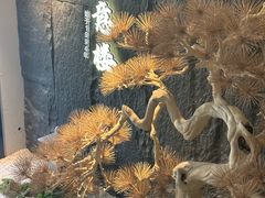 -得意楼蒸菜馆