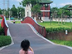 -王借岗森林公园
