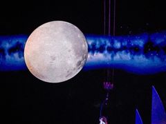 -海合安武汉极地海洋公园