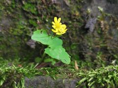 -白公馆