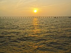 -宝安西湾红树林湿地公园