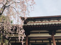 -西安青龙寺遗址景区