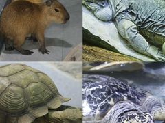 -南昌海洋公园