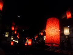 -捞旺猪肚鸡(街道口店)