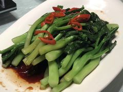 -石家庄万象天成假日酒店