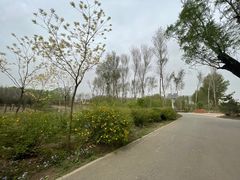 -东郊湿地公园